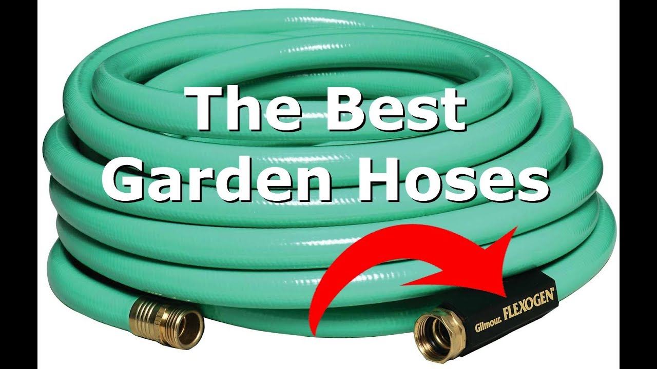 10 Best Garden Hoses for 2024 Watering Made Easy and Efficient