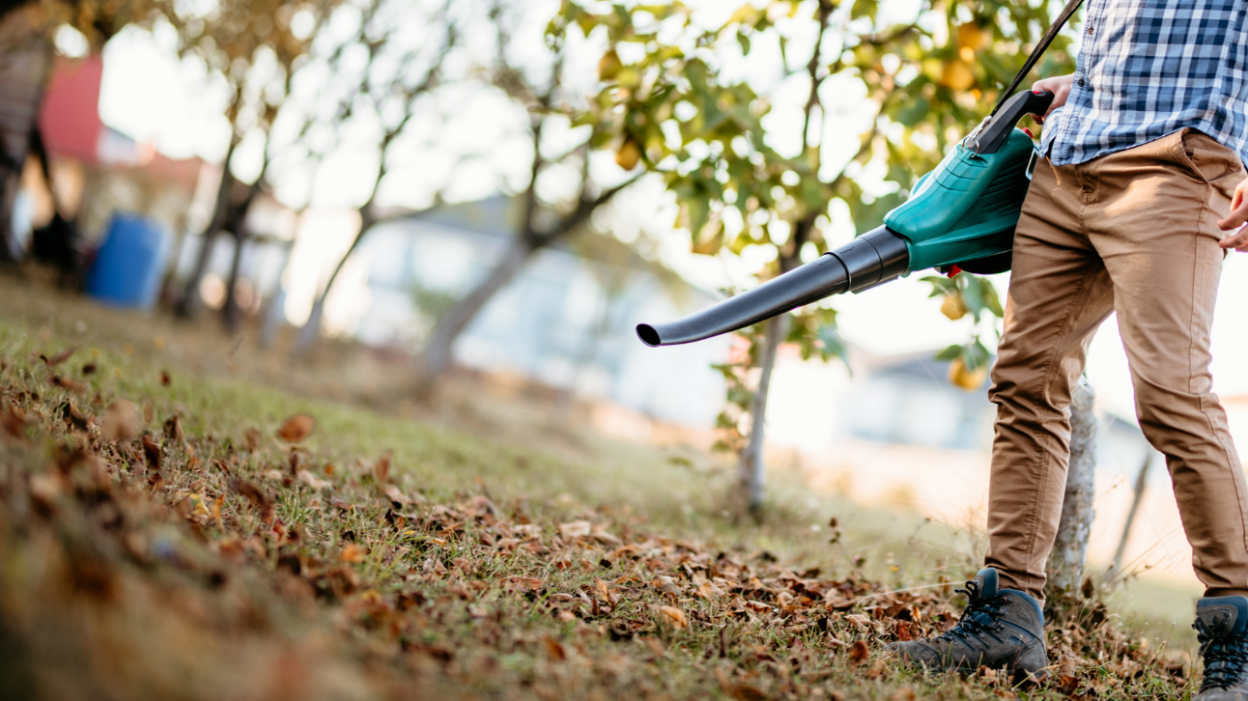 Top 10 Best Leaf Blowers for 2024 Under $345!