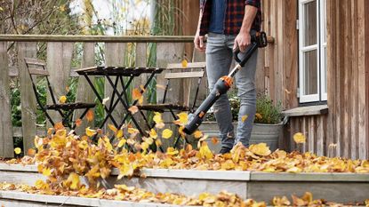 Top 10 Best Leaf Blowers for 2024 Under $345!