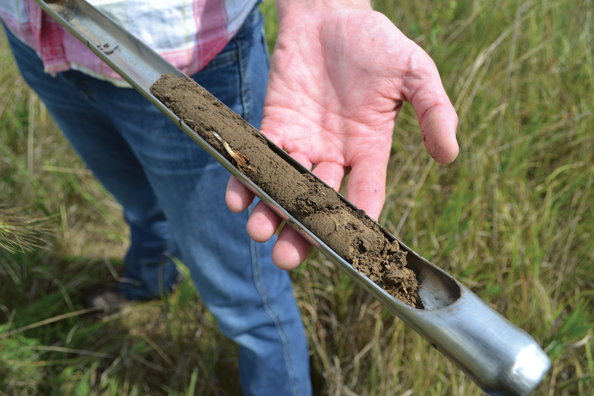 fg220 hg push probe with grassland sample showing roots ctsy cornell soil health lab 1