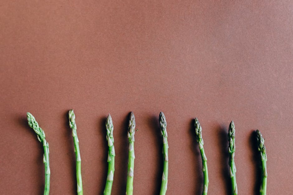 What Is Asparagus Rust? asparagus rust identification control