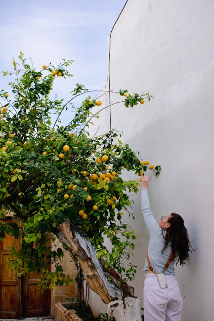 citrus greening disease