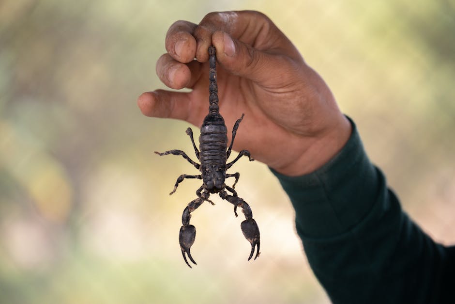 diatomaceous earth natural pest control