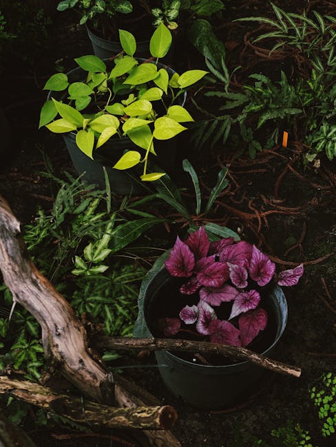 Put Your Green Thumb to the Test: Arranging Foliage From Your Garden green thumb foliage arranging