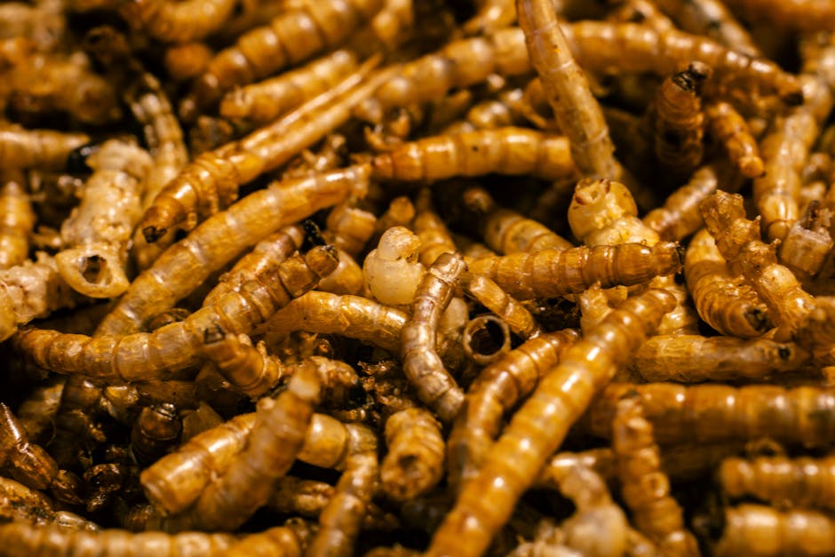 naturally kill insects on kale