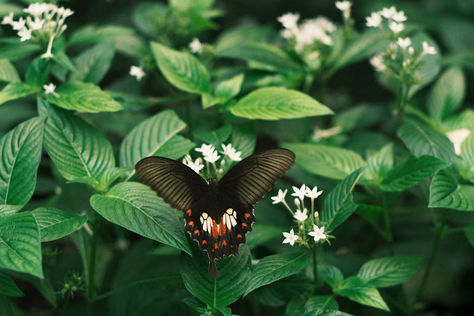 Using Pheromones to Control Insects in Your Garden pheromones control insects garden