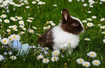 Garden Tool Reviews - Best Of Buying Guides How to Identify and Control White Grubs in Your Lawn and Garden