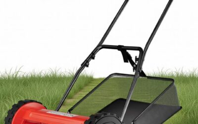 16-Inch Cordless Reel Lawn Mower Review: Steel Frame