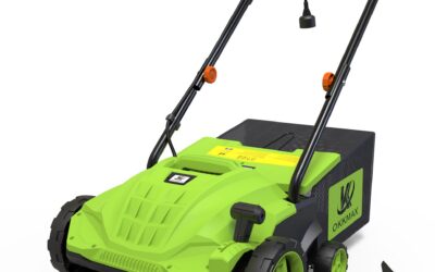 2-in-1 Electric Lawn Dethatcher with Collection Bag