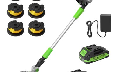 21V Cordless Weed Wacker 2-in-1 Trimmer & Edger