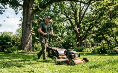 Are Cicadas Attracted to Lawn Mowers? Safety Guide