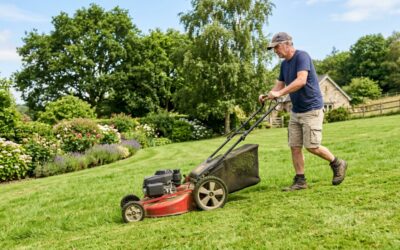 Are High Wheel Lawn Mowers Better? Full Guide