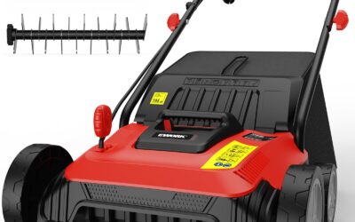 EWORK 22-Inch 2-in-1 Lawn Dethatcher & Scarifier