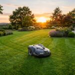 How to Mulch with Robotic Mower for Best Aesthetics 2026