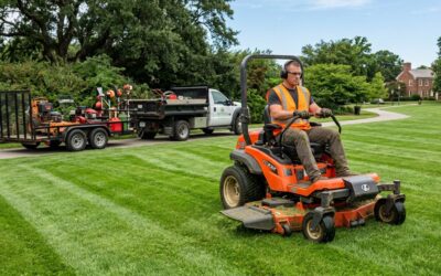 What Lawn Mowers Do Landscapers Use? Full Guide
