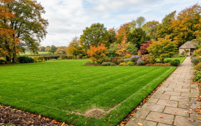 Autumn Grass Fertilizer