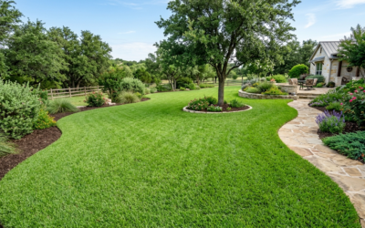 Which Grass Seed Is Best For Texas
